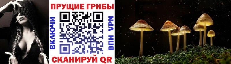 Псилоцибиновые грибы MAGIC MUSHROOMS  Пролетарск 