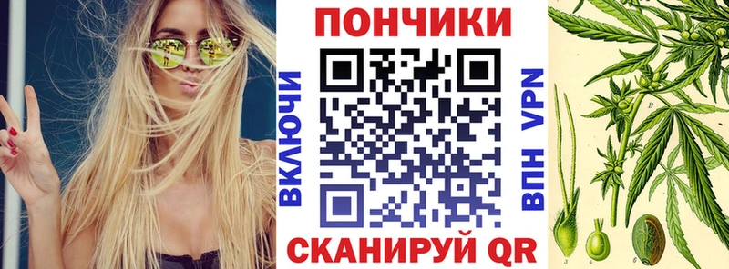 закладки Пролетарск Шишки марихуана гибрид